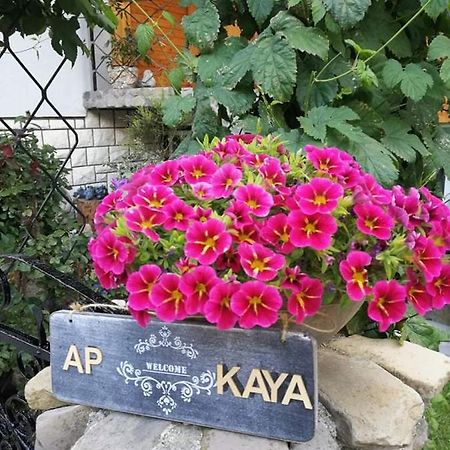 Apartment Kaya 모스트라나 외부 사진