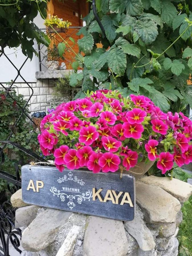 Apartment Kaya 모스트라나 외부 사진